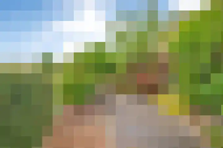 Beverveld 34 Zwolle thumbnail 43