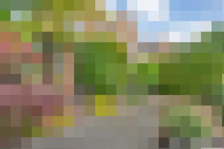 Beverveld 34 Zwolle thumbnail 44