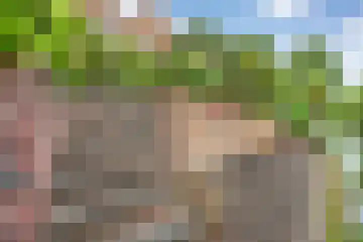 Beverveld 34 Zwolle thumbnail 45