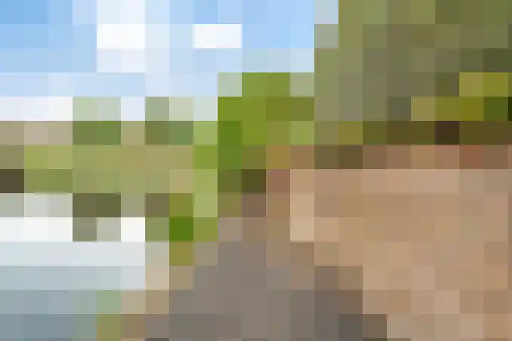 Beverveld 34 Zwolle thumbnail 46