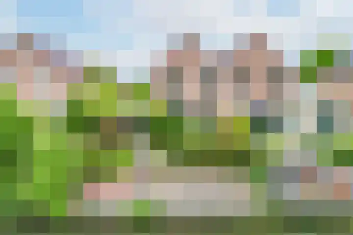 Beverveld 34 Zwolle thumbnail 47