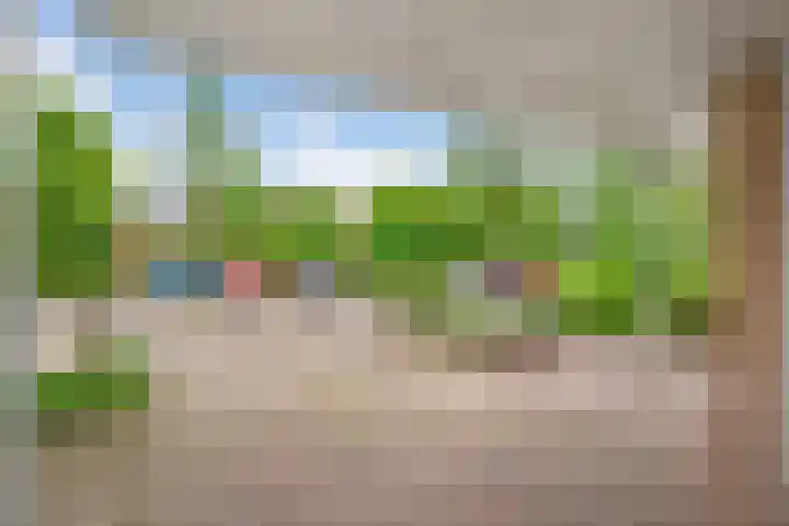 Beverveld 34 Zwolle thumbnail 49