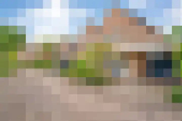 Beverveld 34 Zwolle thumbnail 51