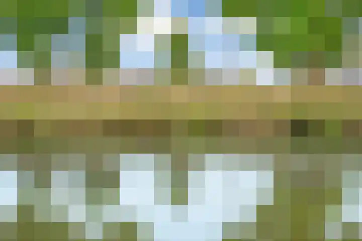 Beverveld 34 Zwolle thumbnail 54