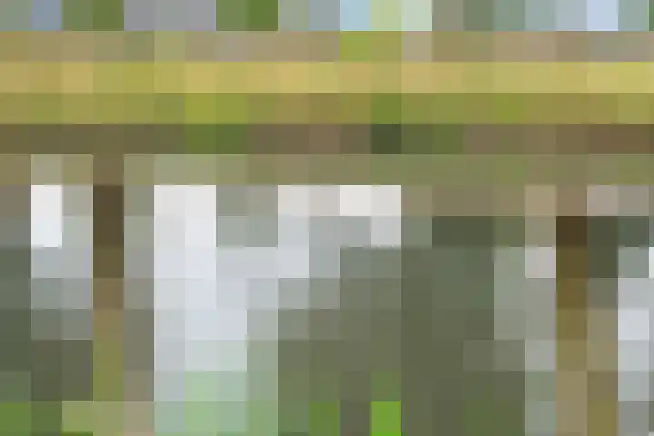 Beverveld 34 Zwolle thumbnail 55