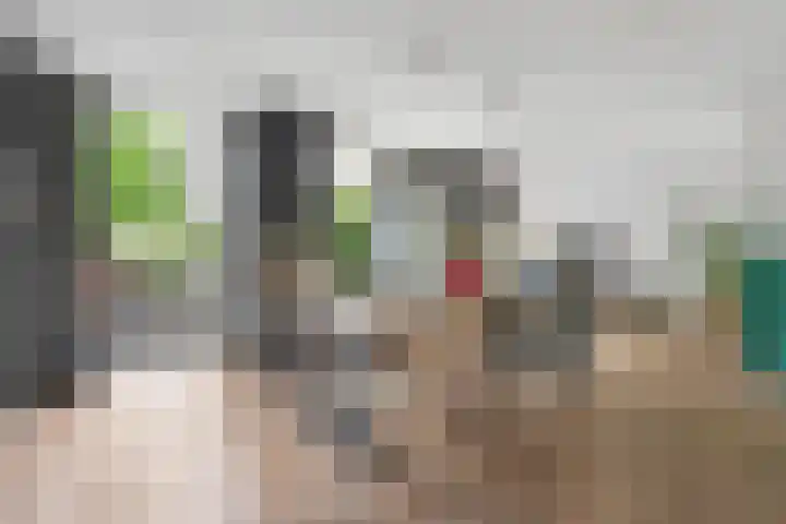 Beverveld 34 Zwolle thumbnail 6