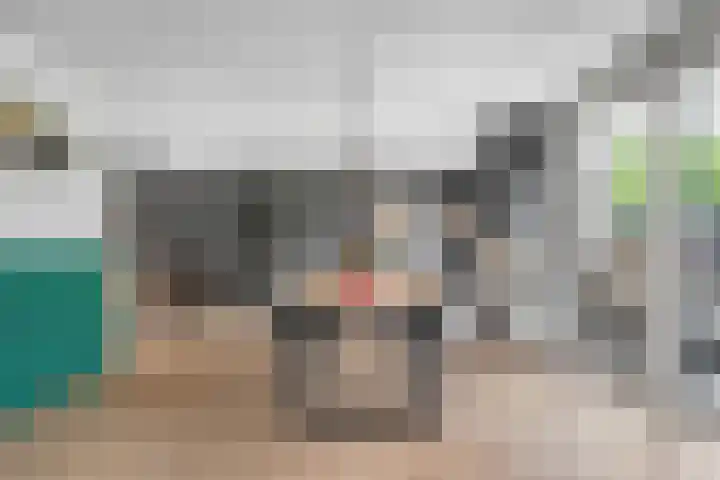 Beverveld 34 Zwolle thumbnail 8
