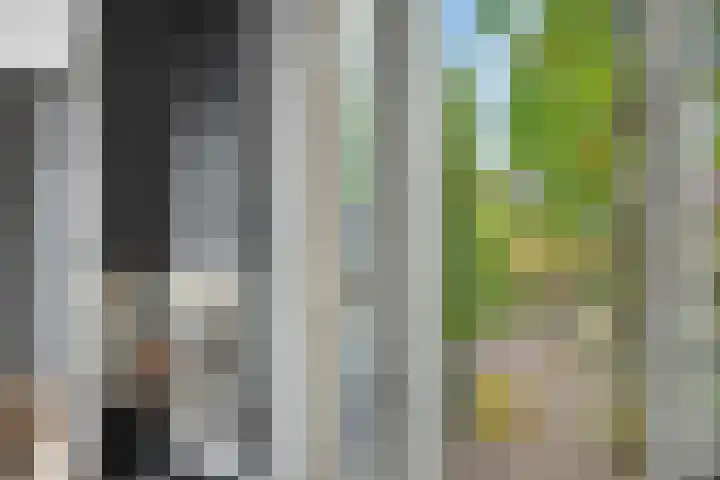 Beverveld 34 Zwolle thumbnail 9