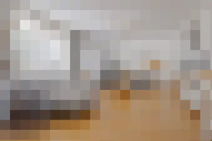 Beverveld 44 Zwolle thumbnail 15