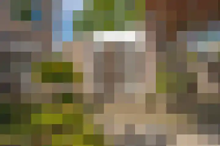 Beverveld 44 Zwolle thumbnail 25