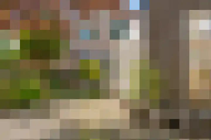 Beverveld 44 Zwolle thumbnail 26