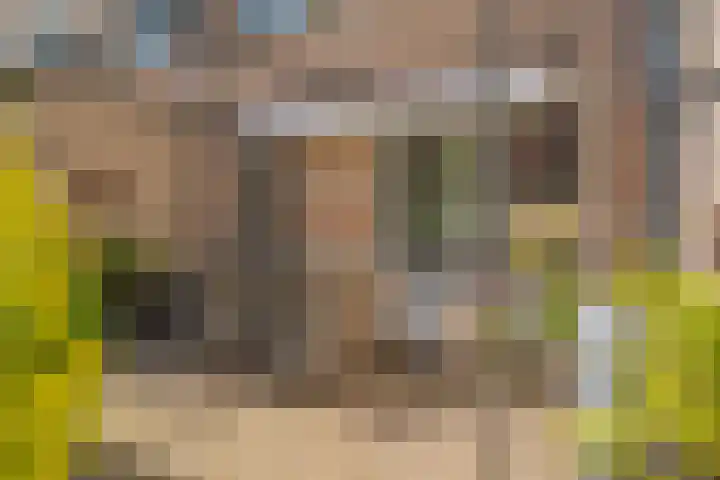 Beverveld 44 Zwolle thumbnail 27