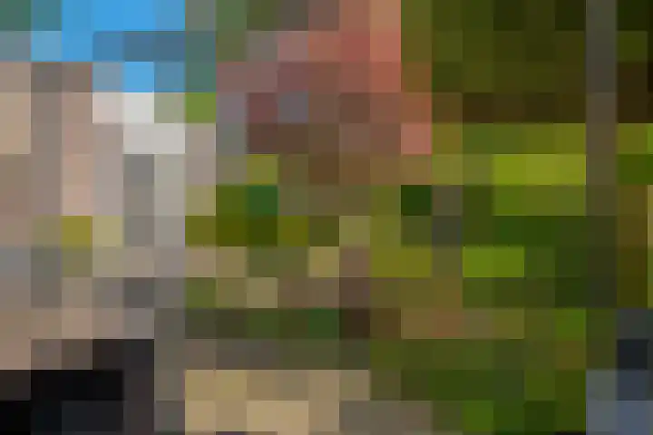 Beverveld 44 Zwolle thumbnail 28