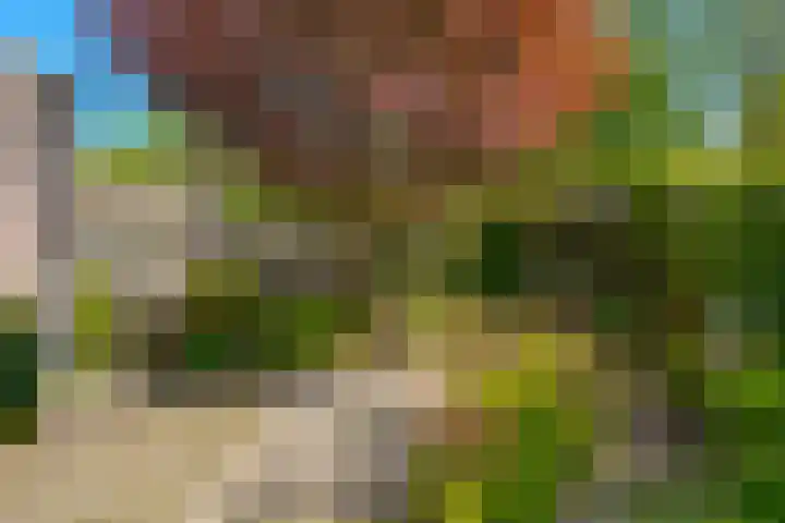 Beverveld 44 Zwolle thumbnail 29