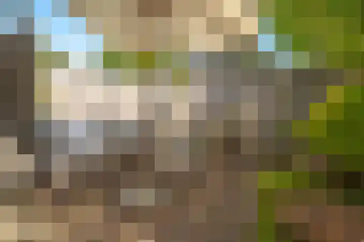 Beverveld 44 Zwolle thumbnail 30