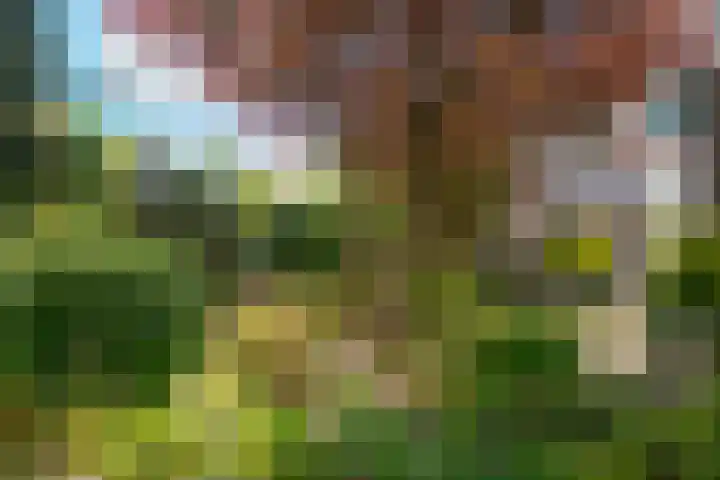Beverveld 44 Zwolle thumbnail 31