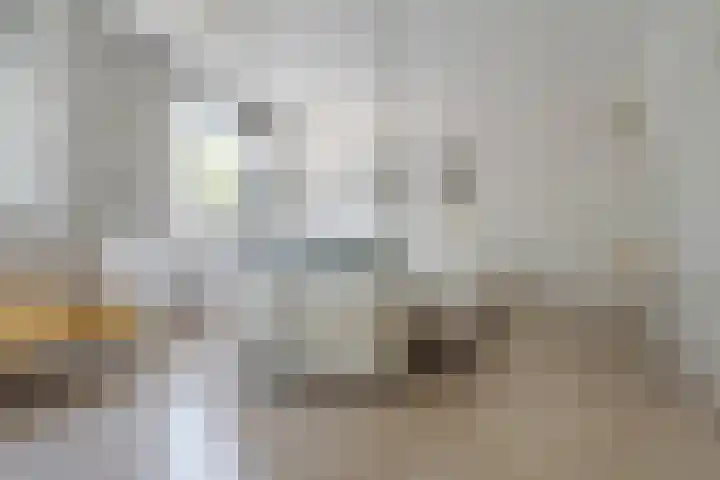 Beverveld 44 Zwolle thumbnail 35