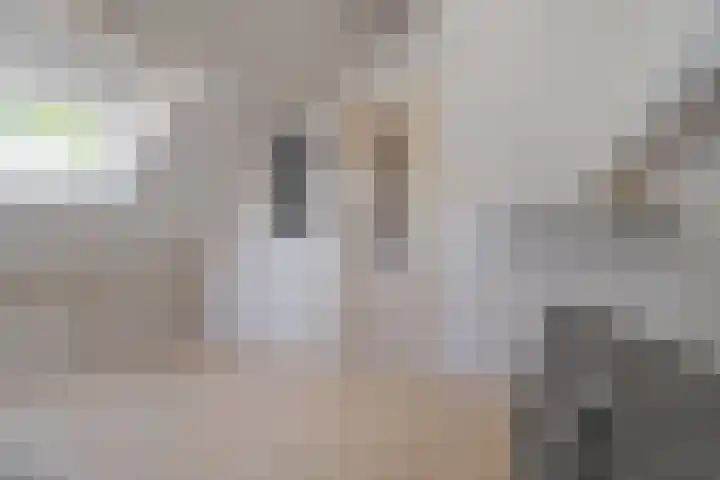 Beverveld 44 Zwolle thumbnail 49