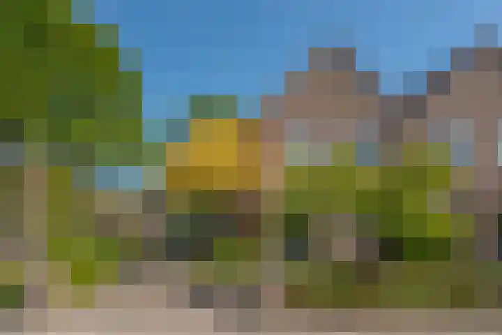 Beverveld 44 Zwolle thumbnail 5
