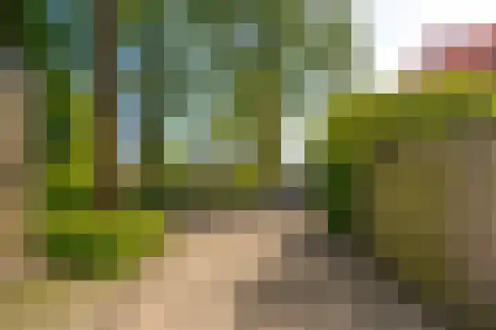 Beverveld 44 Zwolle thumbnail 55