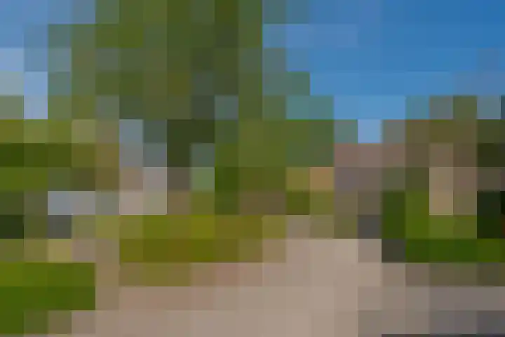 Beverveld 44 Zwolle thumbnail 58