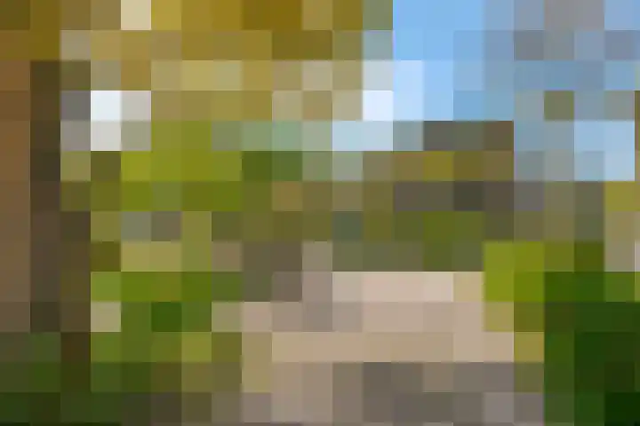 Beverveld 44 Zwolle thumbnail 6