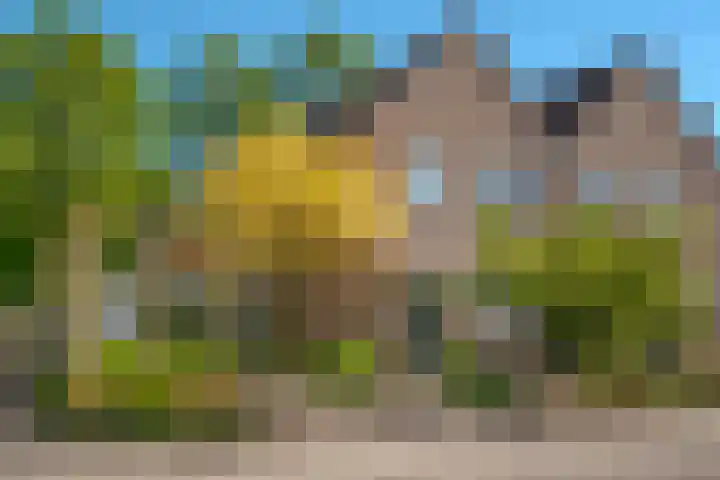 Beverveld 44 Zwolle thumbnail 62