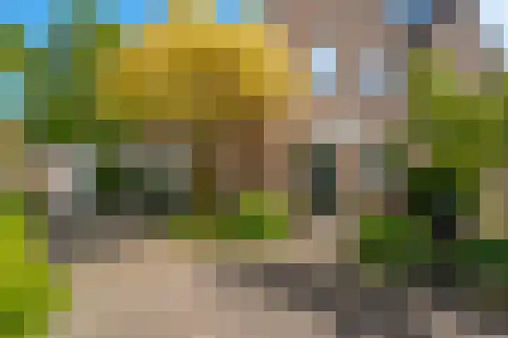 Beverveld 44 Zwolle thumbnail 7