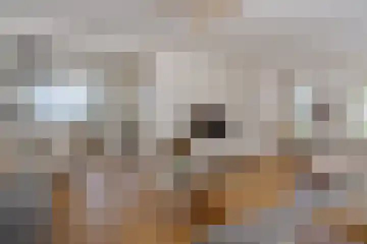 Beverveld 44 Zwolle thumbnail 9