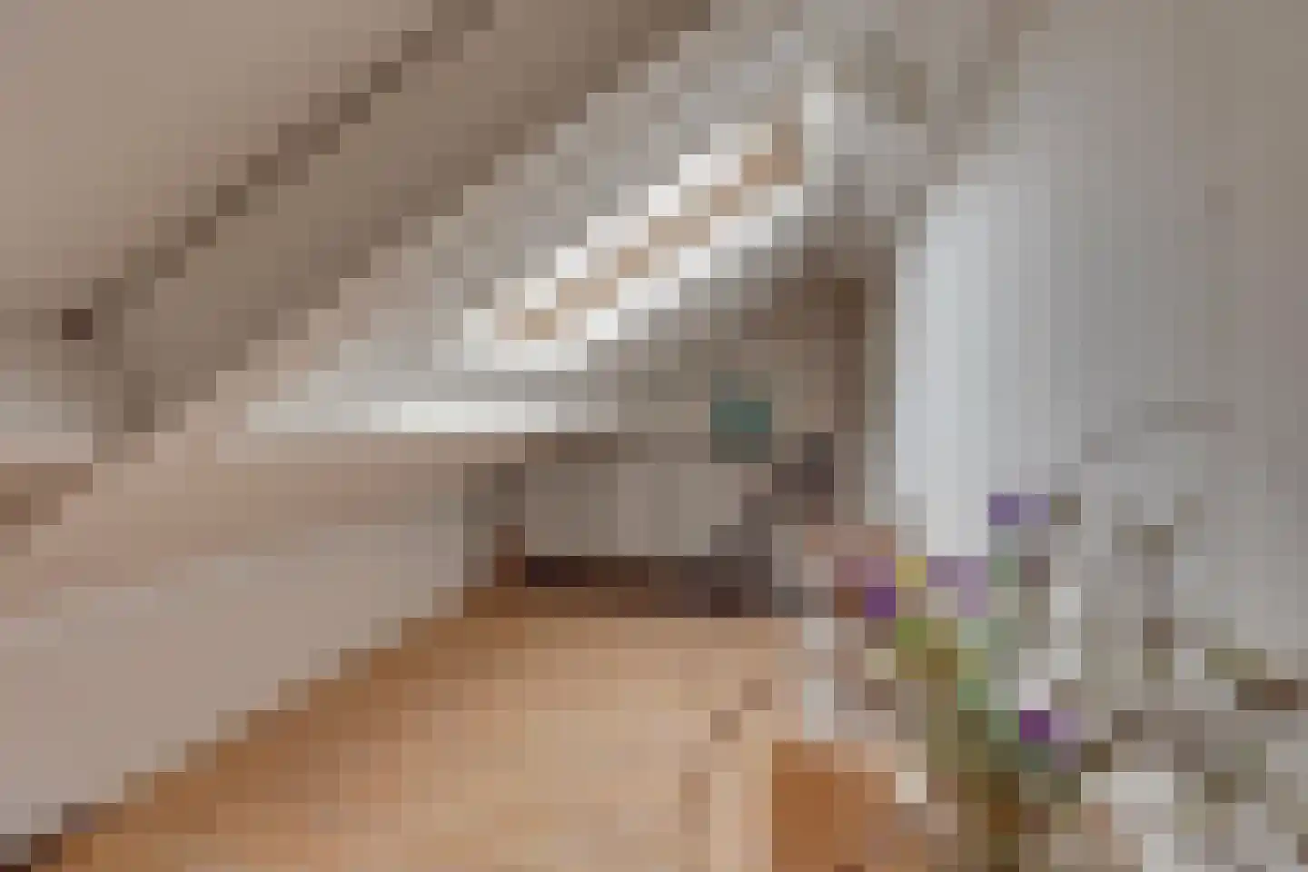 Bevervoorde 13 A Rijssen thumbnail 24