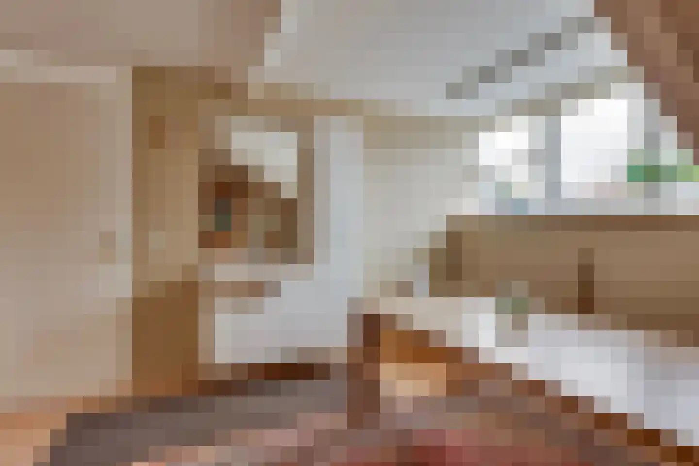 Bevervoorde 13 A Rijssen thumbnail 26