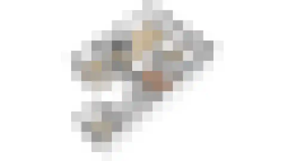 Bevervoorde 13 A Rijssen thumbnail 43