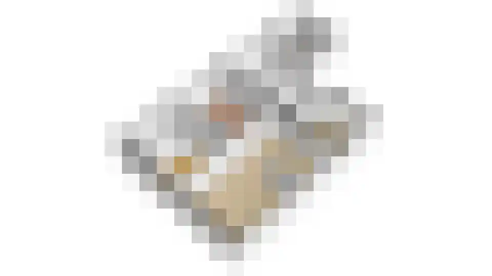 Bevervoorde 13 A Rijssen thumbnail 44