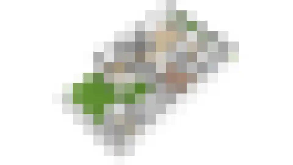 Bevervoorde 13 A Rijssen thumbnail 52