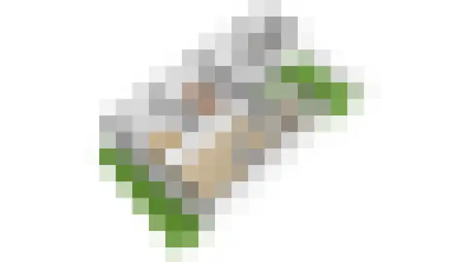 Bevervoorde 13 A Rijssen thumbnail 53