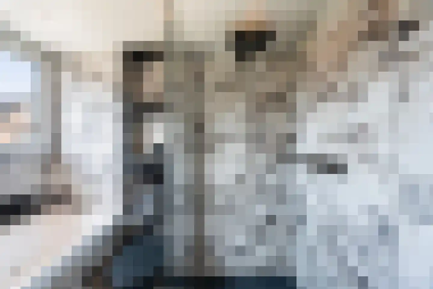 Beverwaardseweg 255 Rotterdam thumbnail 37