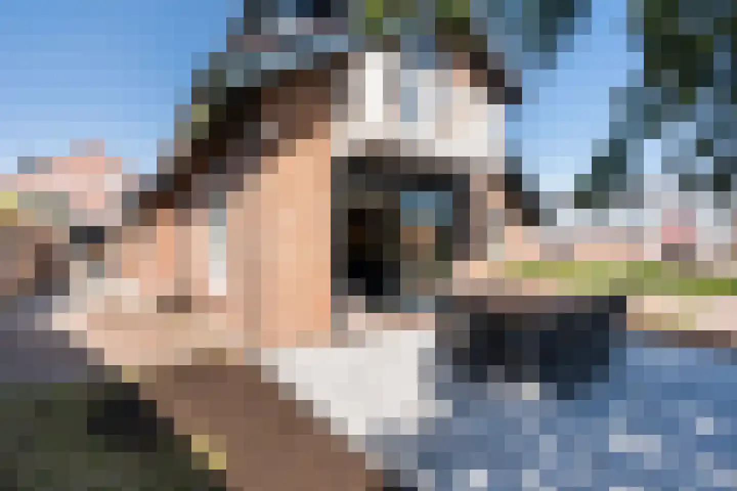 Beverwaardseweg 255 Rotterdam thumbnail 5