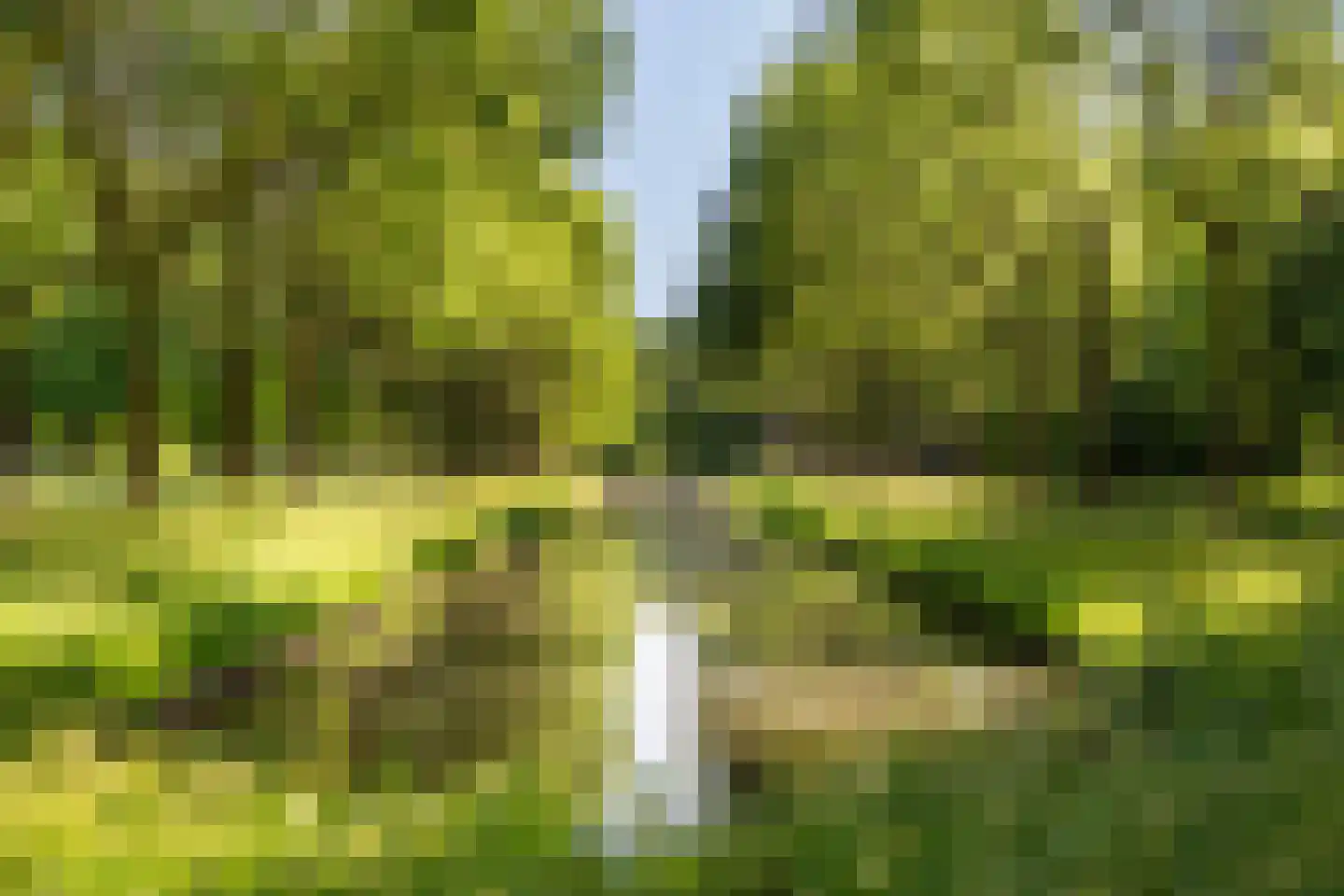 Beverwaardseweg 255 Rotterdam thumbnail 54