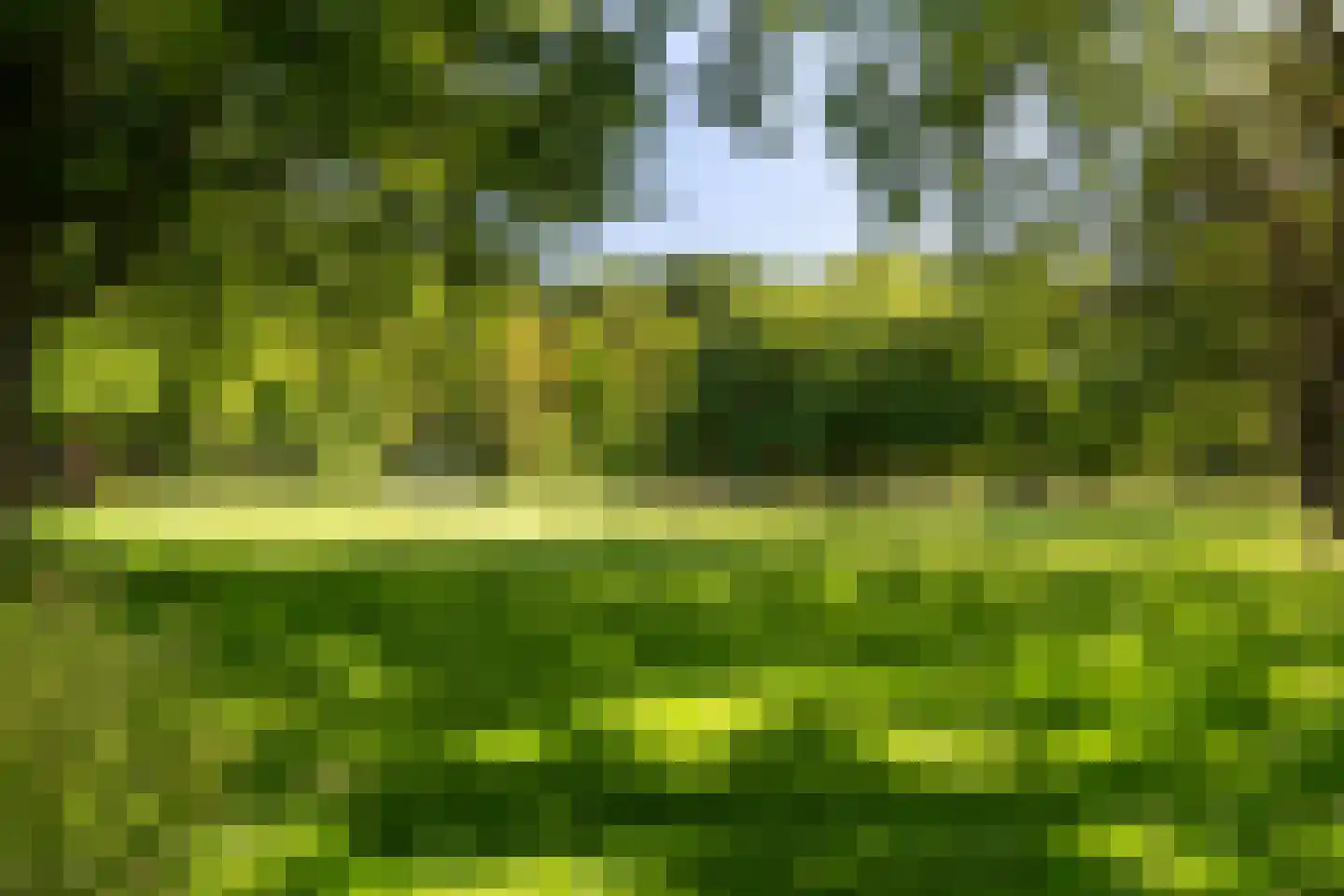 Beverwaardseweg 255 Rotterdam thumbnail 55