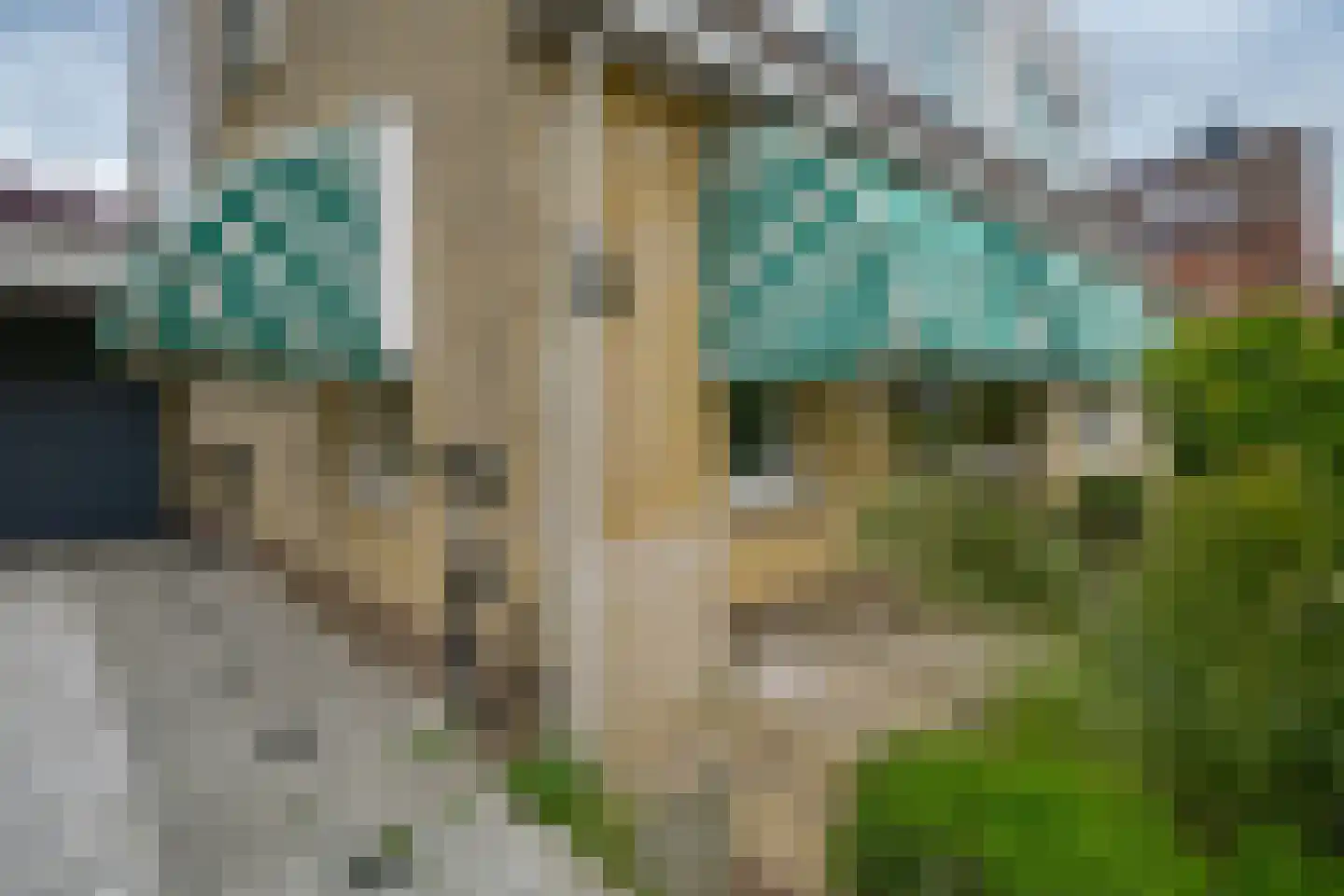 Beverwaardseweg 271 Rotterdam thumbnail 46