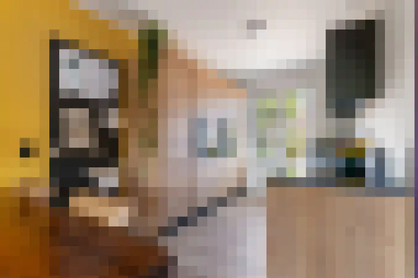 Beverwaardseweg 336 Rotterdam thumbnail 12