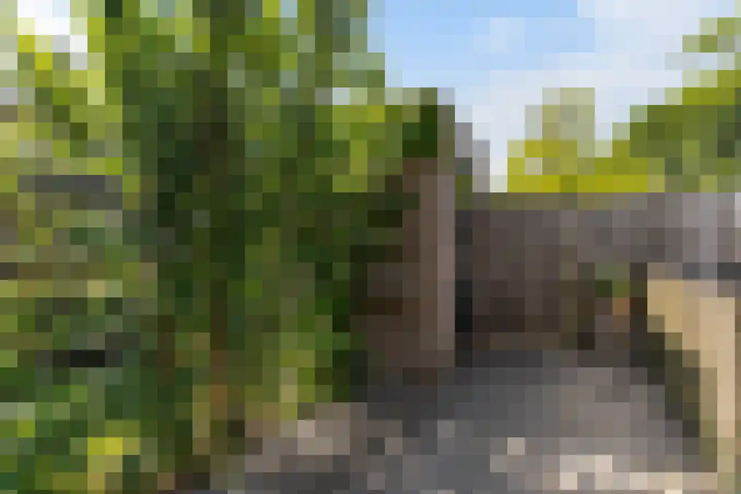 Beverwaardseweg 336 Rotterdam thumbnail 17