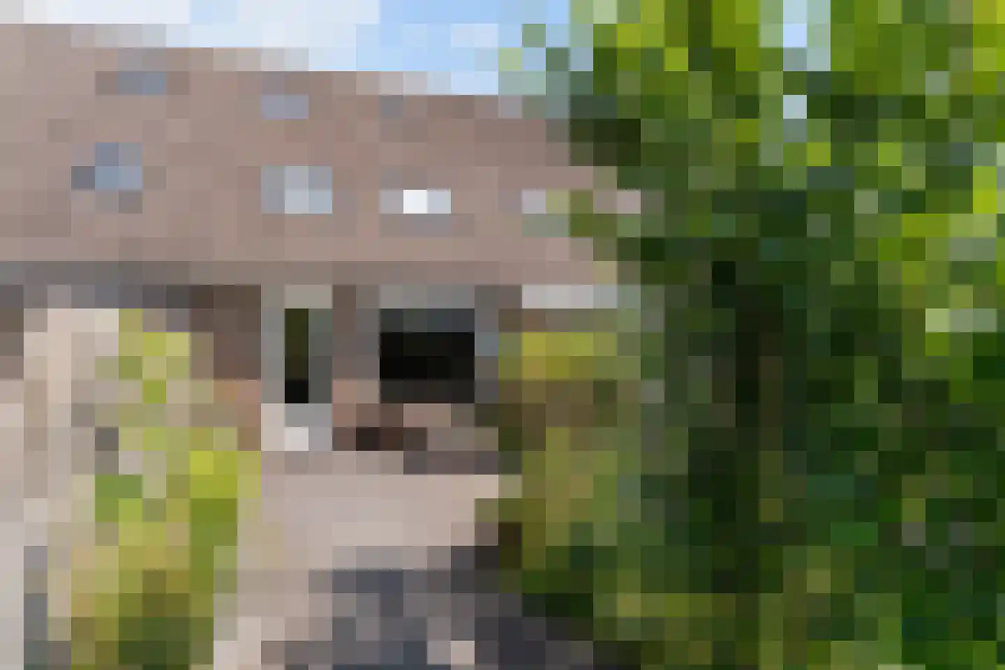 Beverwaardseweg 336 Rotterdam thumbnail 18