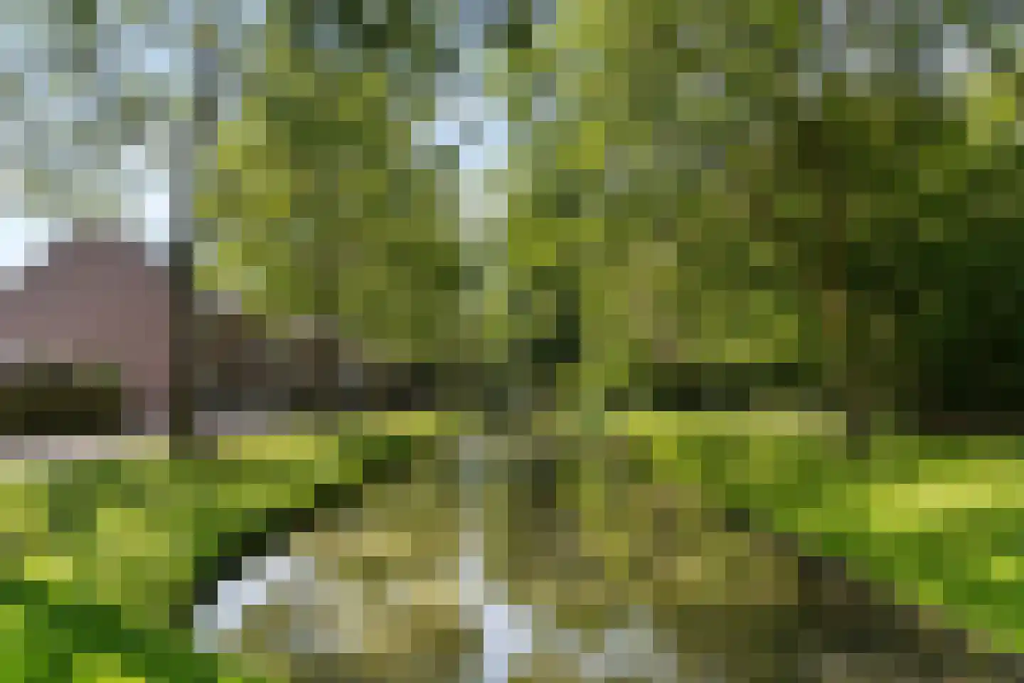 Beverwaardseweg 336 Rotterdam thumbnail 37