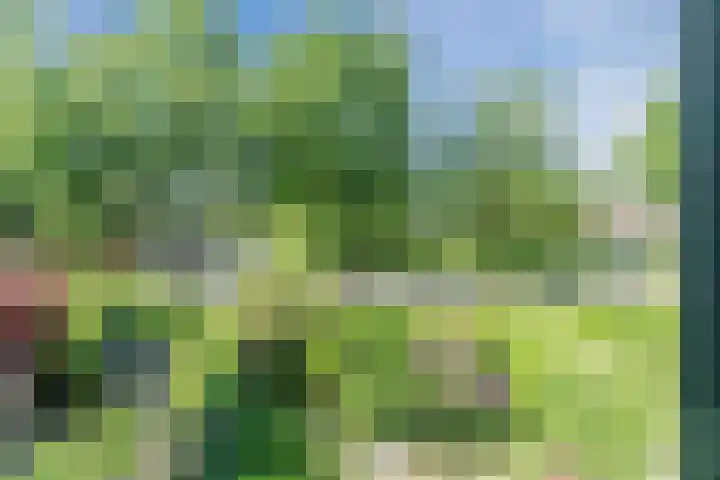 Beverweerd 5 Amersfoort thumbnail 20