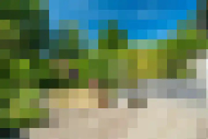 Beverweerd 5 Amersfoort thumbnail 30