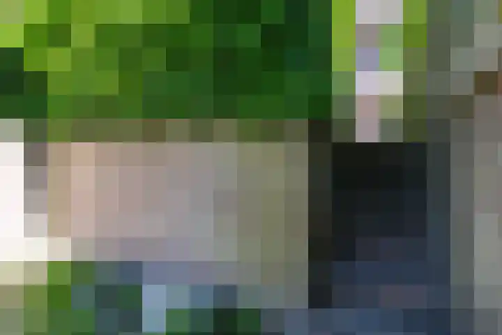 Beverweerd 5 Amersfoort thumbnail 32