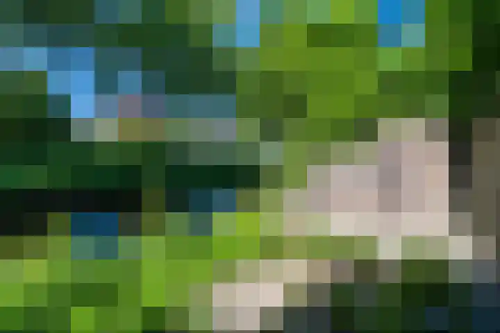 Beverweerd 5 Amersfoort thumbnail 33