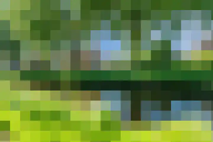 Beverweerd 5 Amersfoort thumbnail 34