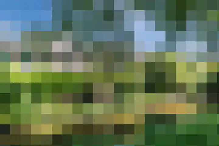 Beverweerd 5 Amersfoort thumbnail 35